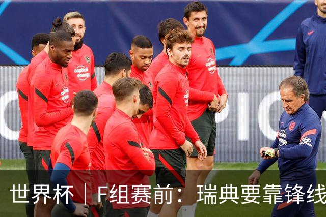 世界杯｜F组赛前：瑞典要靠锋线双星 突尼斯欲出线